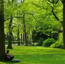 green life