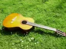 guitar in grass