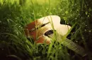in grass