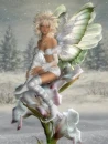 WINTER FAIRY