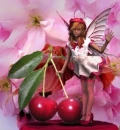 CHERRY FAIRY