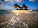 LOVE ISLAND