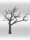 winter tree