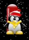 snowboarding penguin