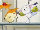 digimon