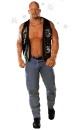 stone cold steve austin