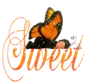 sweet baby butterfly