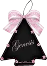 Black & Pink Ornament -Genesis-