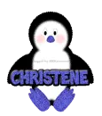 Baby Boy Penguin -Christene-