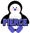 Baby Boy Penguin -Pierce-