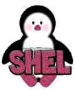 Baby Girl Penguin -Shel-
