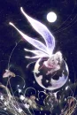 In the moon