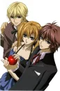 Vampire Knight