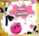 Hello tuesday