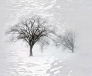 Bare trees