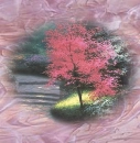 Colourful tree.