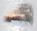Winter wonderland.