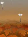 autumn seedlings