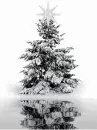 white christmas tree