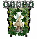 DARLA and TINKERBELL