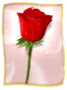rose