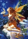 WINTER FAIRY