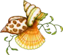 SEA SHELLS