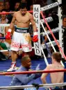 manny pacquiao
