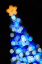 xmas star