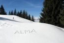 Alma