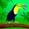 toucan avatar
