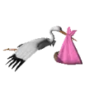 stork delivering baby girl