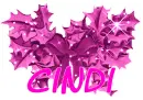 Pink Christmas Holly - Cindi