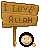 Love ALLAH