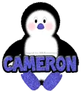 Baby Boy Penguin -Cameron-