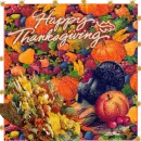 have a Happy Thanksgiving 