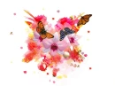 colourful