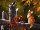 kitten and birds