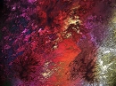 colourful ice crystals 2
