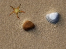 sea shore