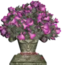 PURPLE FLOWERS