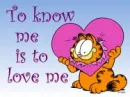 garfield love