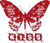butterfly kiss