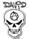 david glitter skull