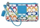 Colors Purse