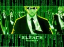 bleach