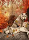 autumn wolves