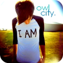 owl city