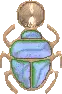 scarab beatle
