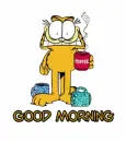 morning